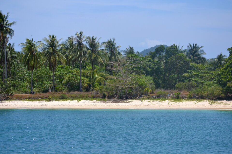 Nature sea tropical