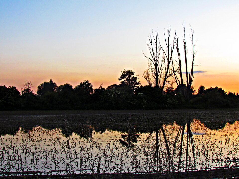 The silence sunset twilight