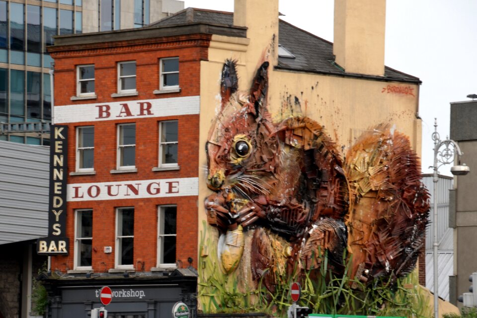 City building squirrel
