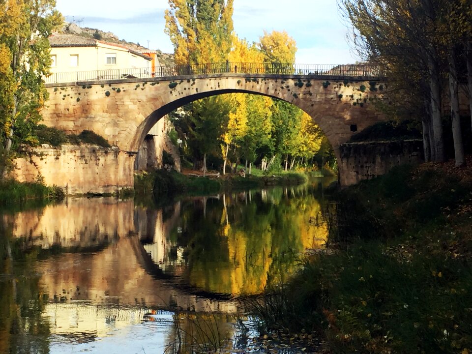 Trees bridge autumn landscape
