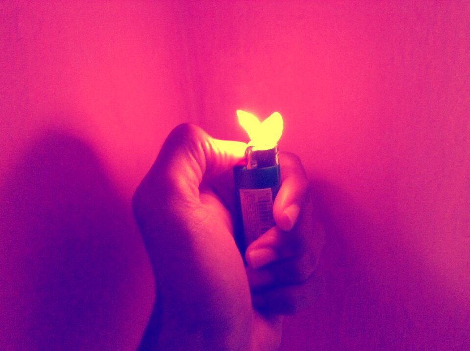 Love fire loving