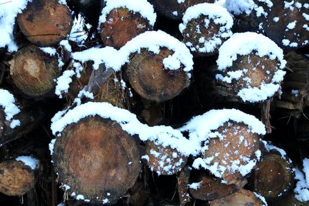 Firewood stacked up background