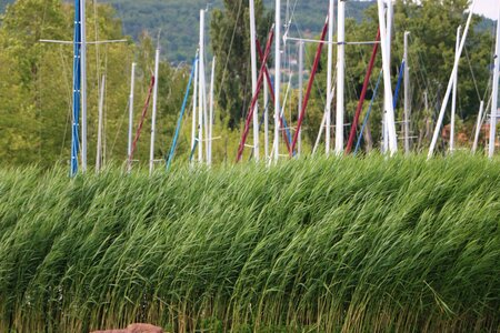 Aquatic plant mast port