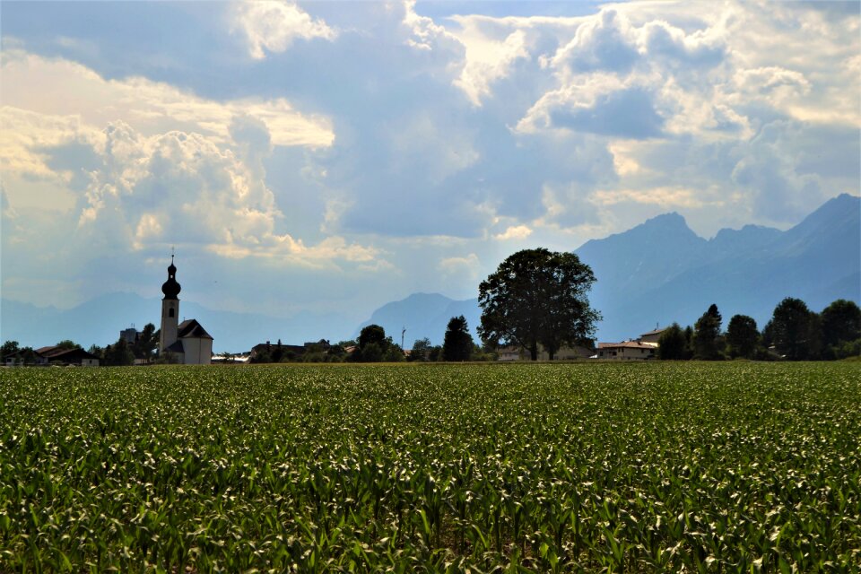 Chapel meadow agriculture