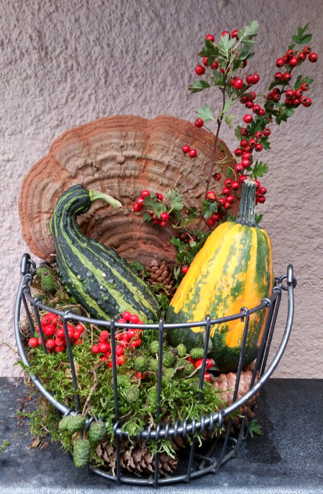 Pumpkins mushrooms moss autumn