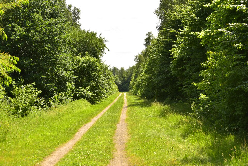Landscape trail outlook