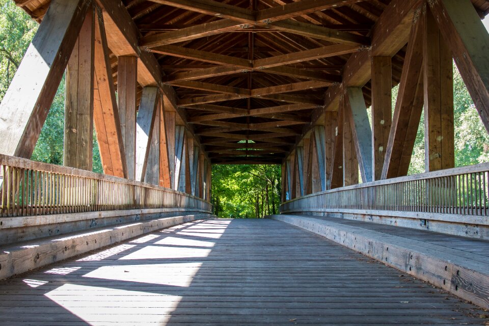 Nature forest wooden bridge