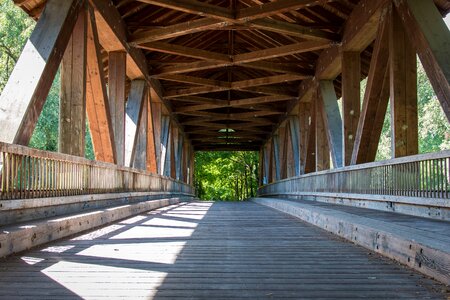 Nature forest wooden bridge photo