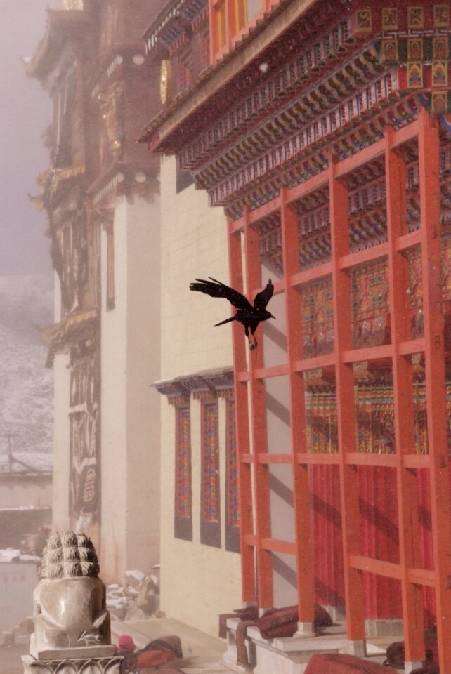 Harmony tibet figure