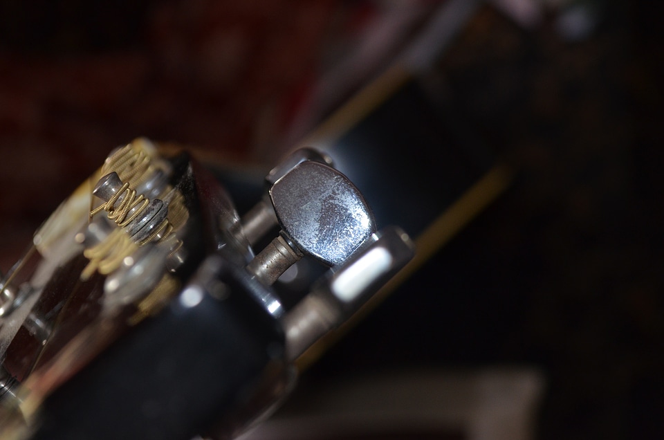 Strings music instrument