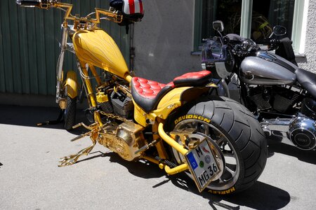 Harley motorcycle vehicle photo
