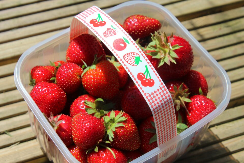 Food red berry