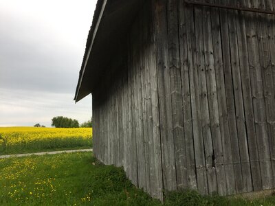 Green barn landscape
