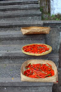 Lebar cm island red pepper red hot chili peppers photo