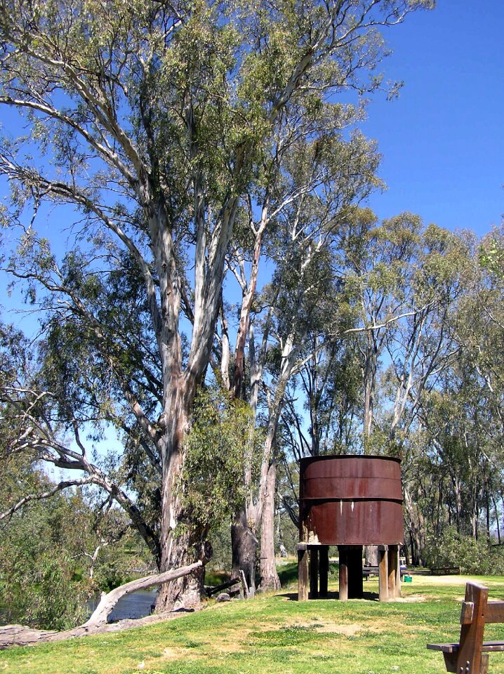 Rural water tank gum trees