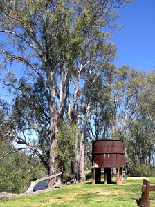 Rural water tank gum trees photo