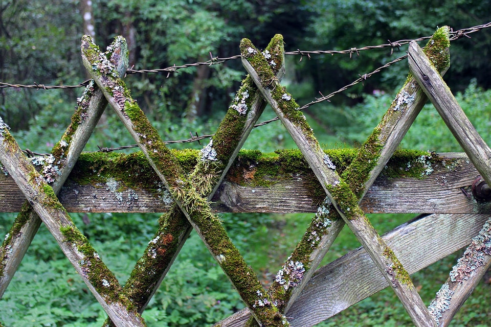 Battens limit protection