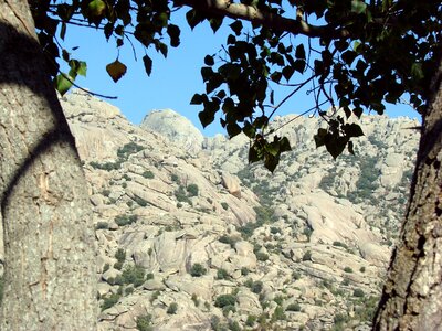 Pedriza mountain tree photo