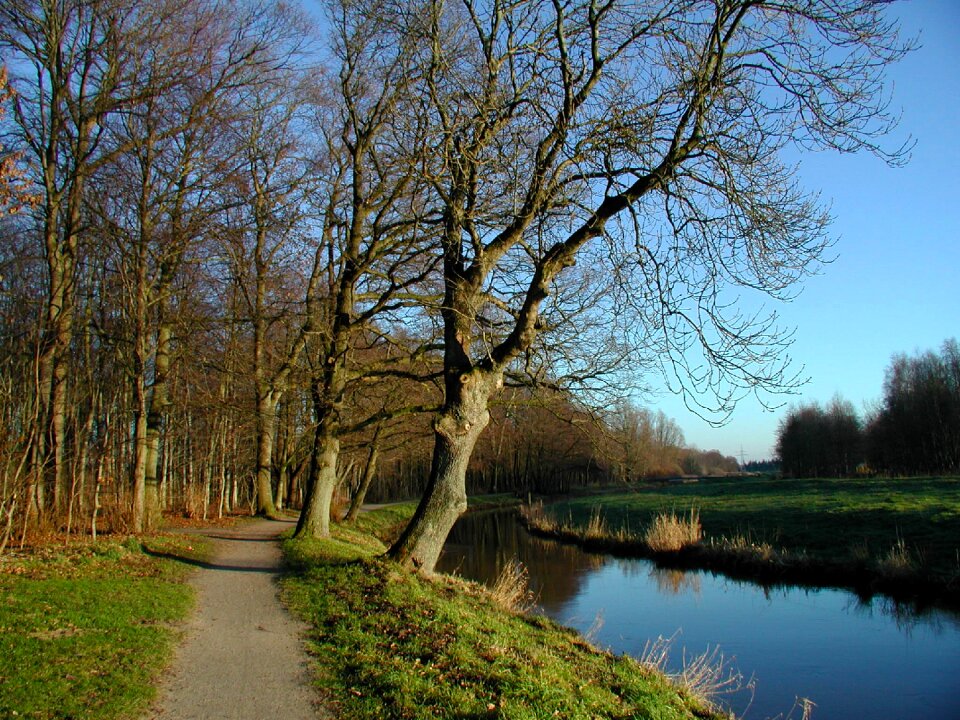 Nature landscape forests