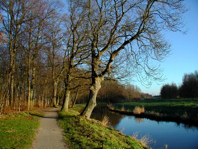 Nature landscape forests
