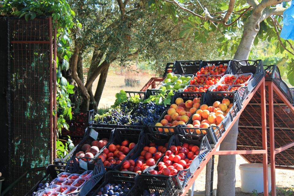 Fruits apricot apricots