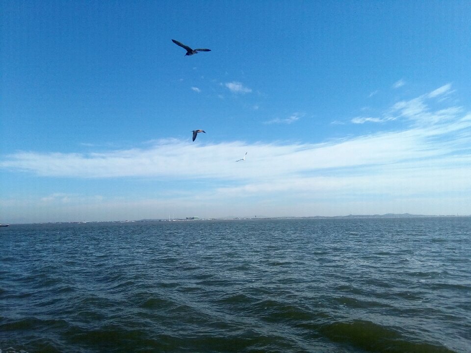 Sea natural the scenery