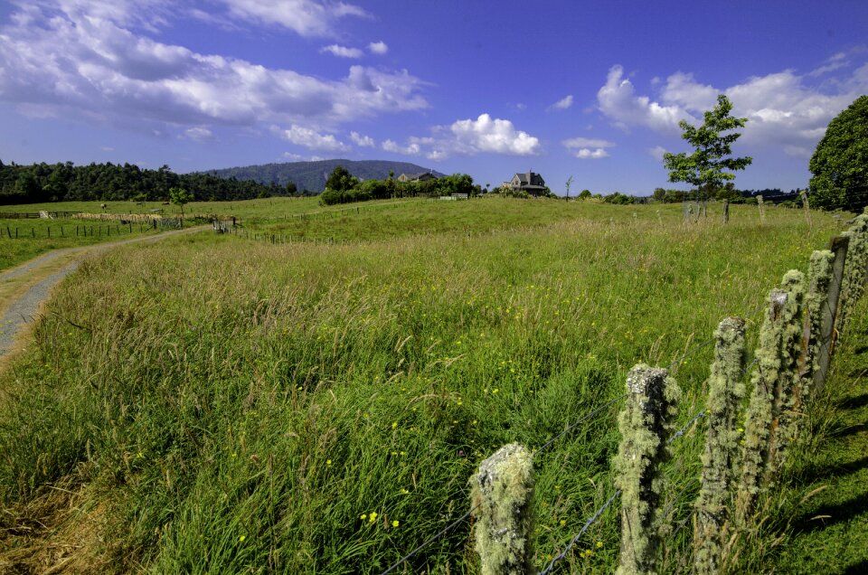 North island farm fence