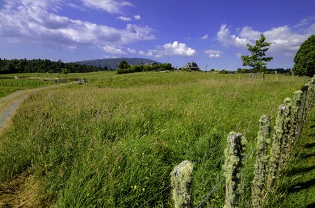 North island farm fence