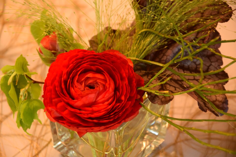 Decoration vase plant