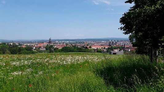 Altenburg old castle road spring