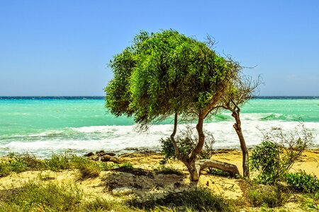 Beach nature scenery