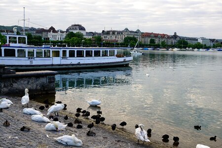 Switzerland summer river