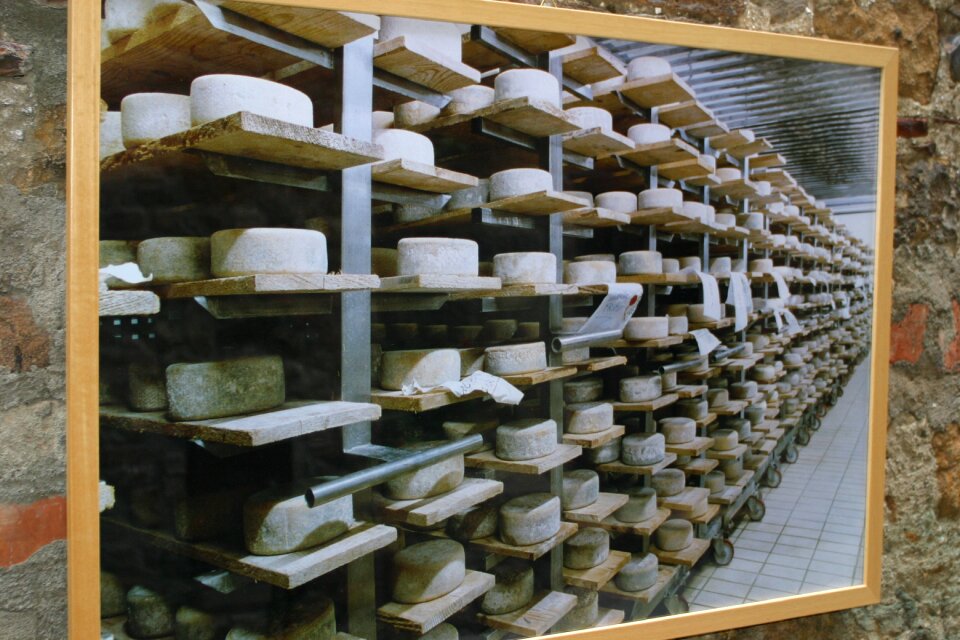 Cheese parmagiano