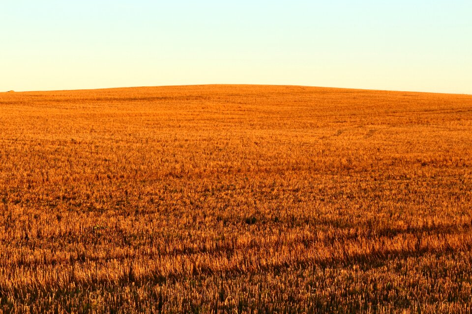 Landscape fields nature