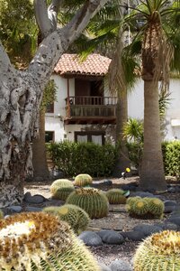 Garden tropical tenerife