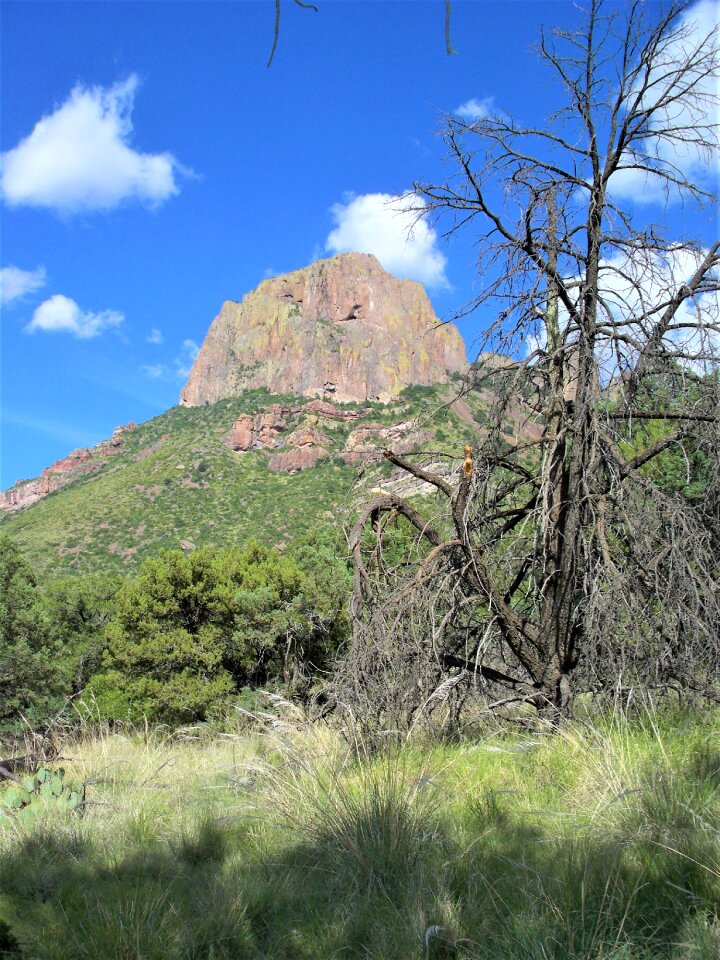 Big bend texas hiking
