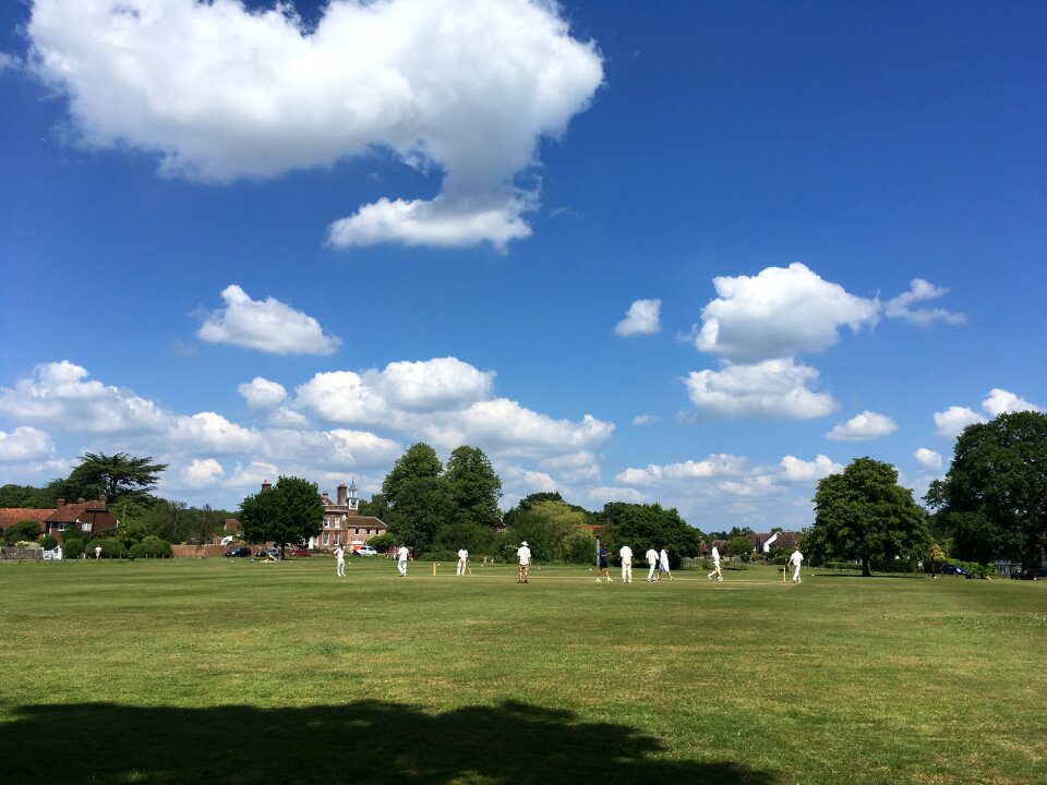 Cricket kent summer day