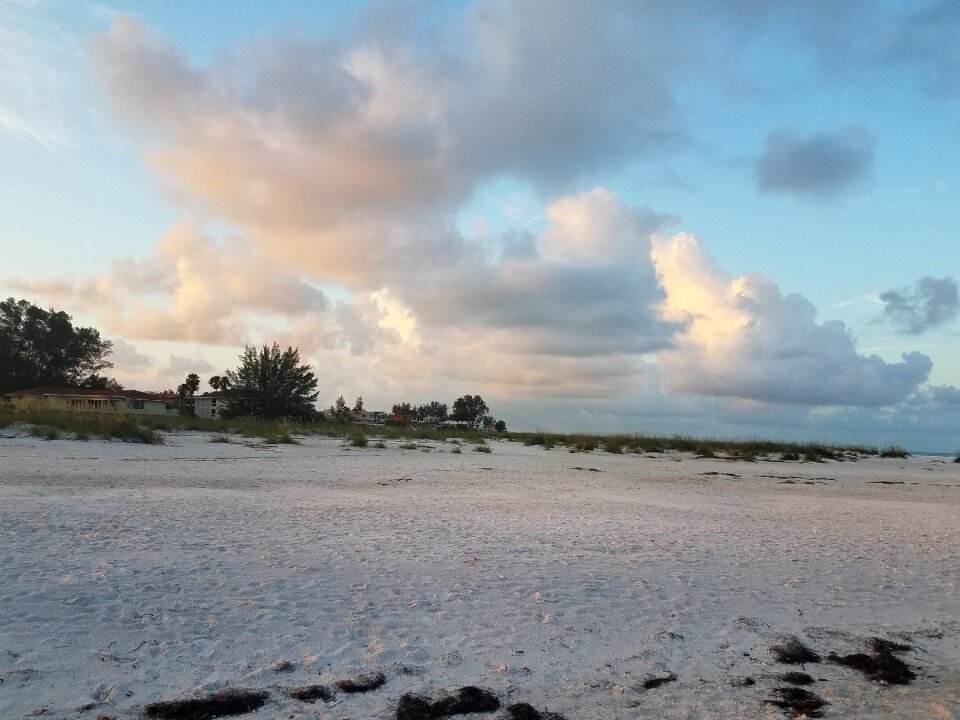Sand shore