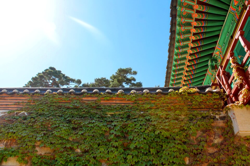 Wall ancient architecture