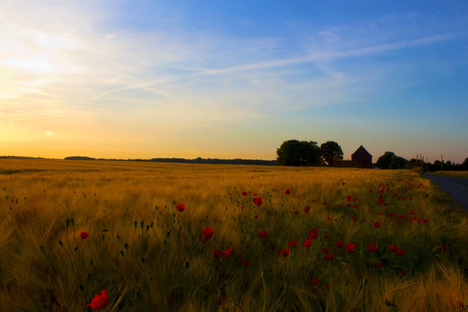 Mönchengladbach fields agriculture