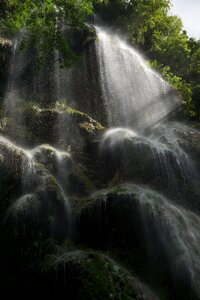 Water wilderness tropical
