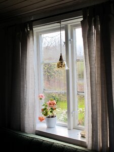 Geranium pink window lamp photo