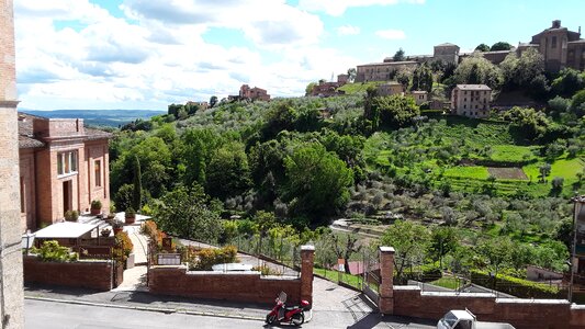 Garden stadtmitte italy photo