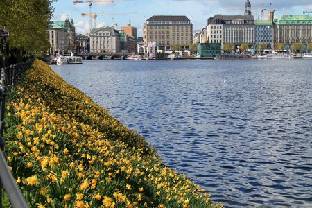 Alster binnenalster water photo