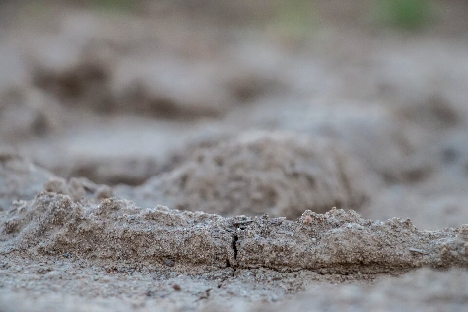 Ground cracked sand