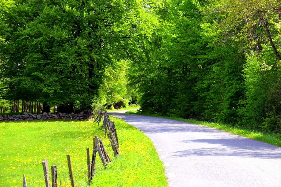 Road summer sweden