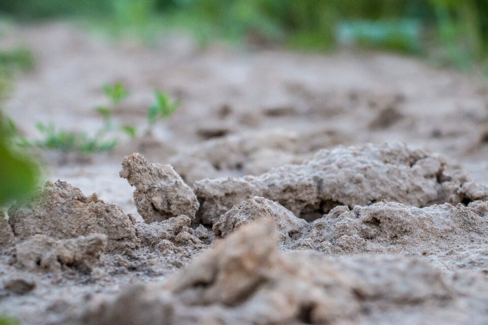 Ground cracked sand