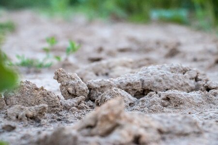 Ground cracked sand