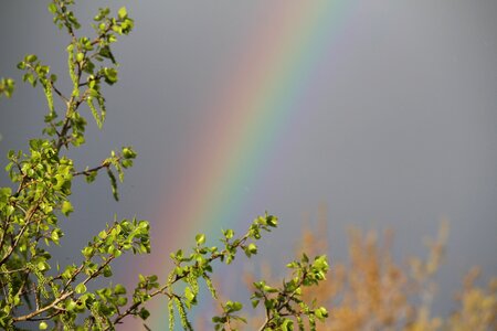 Weather happy wild