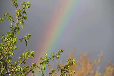 Weather happy wild photo